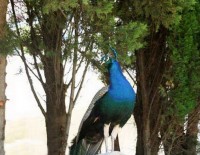 �� ���������� - ����������� �� RCC-TRAVEL.RU